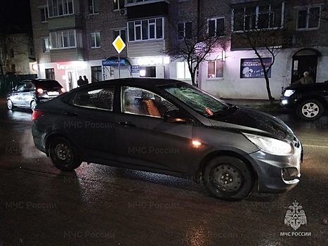 Автоледи сбила пешехода на обочине