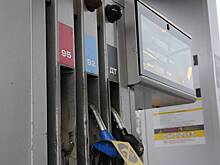 Эксперт раскритиковала идею установить предел цен на топливо