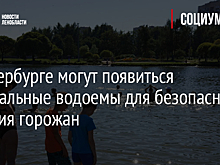 В Петербурге могут появиться специальные водоемы для безопасного купания горожан