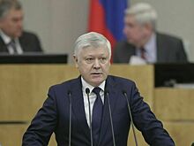 Пискарев прокомментировал закон об изъятии незаконных доходов чиновников