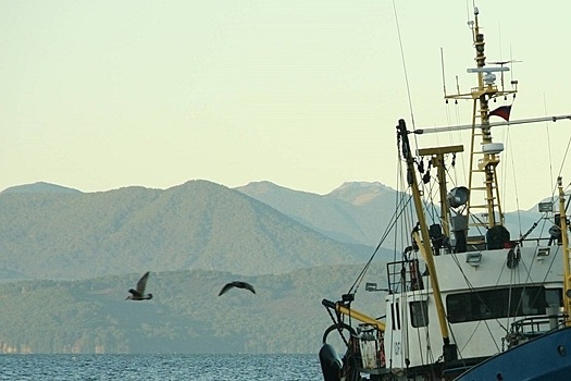 На Камчатке сразу два вулкана активно зашевелились