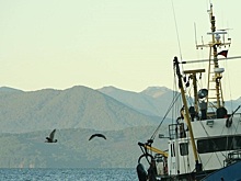 На Камчатке сразу два вулкана активно зашевелились