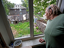 Под Москвой нашли дачи дешевле 150 тысяч рублей