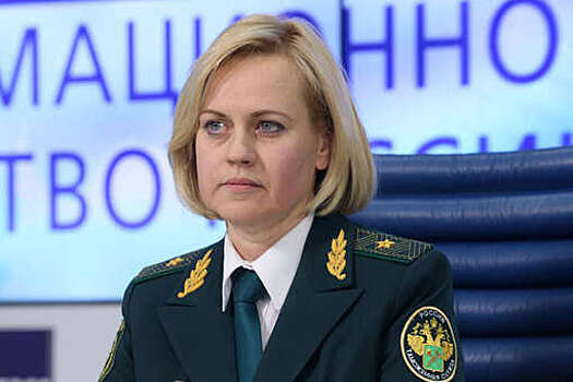 112: суд отправил замруководителя ФТС России Елену Ягодкину под арест