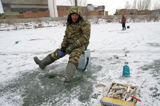 Саратовские рыбаки вошли в ТОП-3 кубка России по подледному лову