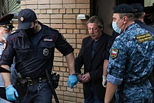Адвокаты Михаила Ефремова рассказали, сможет ли актер выйти на свободу досрочно