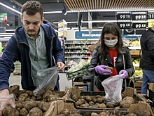 В ФАС объяснили рост цен на картофель