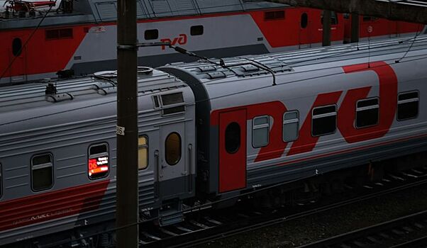 Россияне смогут оформлять билеты на дальние поезда по биометрии