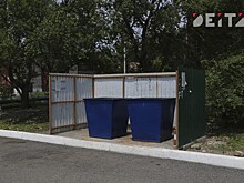 Избитую породистую собаку обнаружил приморец в мусорном баке (ОБНОВЛЕНО В 16:01)