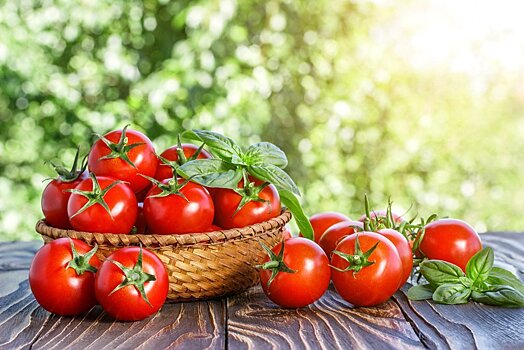 Чем полезны помидоры: интересные факты, которые вы не знали