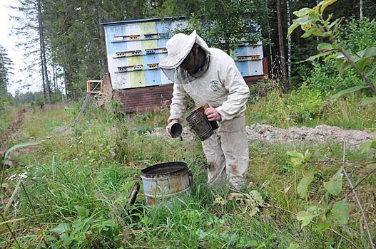 Как сделать выгодной продажу нижегородского мёда?