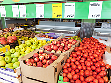 Абрамченко поручила снизить стоимость перевозки овощей, субсидировать строительство овощехранилищ и увеличивать количество ярмарок