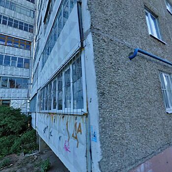 Белого кота сбросили в Костроме из окна многоэтажки