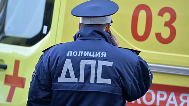 В Ленобласти завели дело по факту ДТП, в котором погибла трёхлетняя девочка
