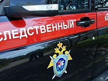 СК объяснил просьбу отпустить из СИЗО фигуранта дела Паршина