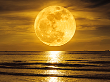 Ученый: на лунной базе человек не сможет жить дольше двух лет