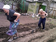 Олег Кобяков: В Зауралье время позитивных новостей — всё растёт!