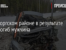 В Выборгском районе в результате ДТП погиб мужчина