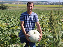 Как селяне под Анапой выращивают овощи и коз с кроликами