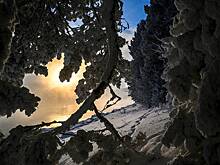 Появились подробности о странном звонке сыну Усольцевых после исчезновения родных