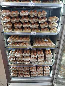 Костромские курицы идут на рекорд: снесли полмиллиарда яиц