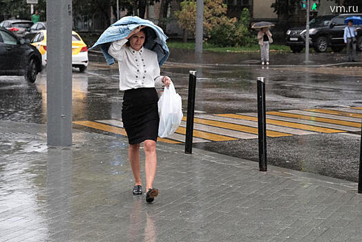 МЧС предупредило жителей Подмосковья о дожде с грозой до вечера понедельника