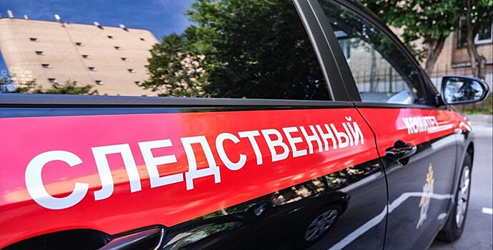 Подозреваемый признался в убийстве девушки-блогера в Москве