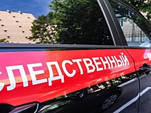 Подозреваемый признался в убийстве девушки-блогера в Москве