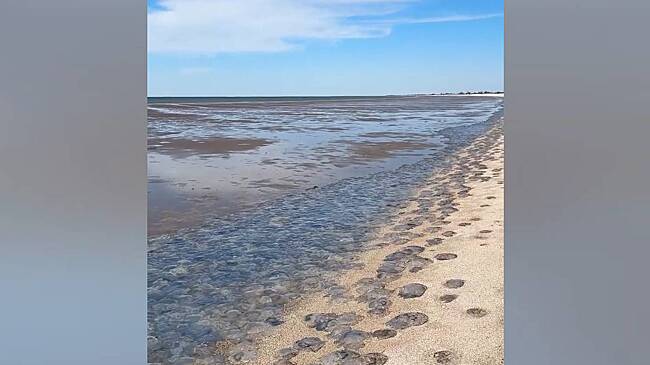В российском городе отлив обнажил инопланетные пейзажи