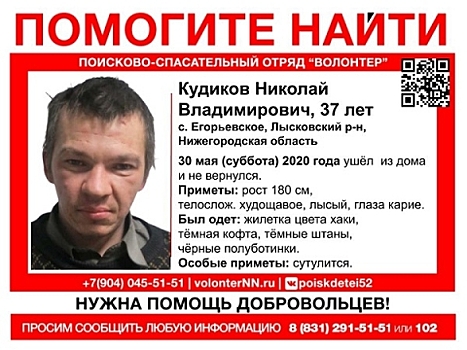 37-летний Николай Кудиков пропал в Лысковском районе