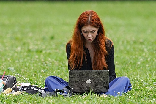 Численность самозанятых и МСП в Новгородской области выросла на 20%