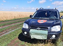Конфликт в Федоровке: Пензенские компании готовятся собрать урожай саратовских фермеров