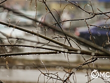 "Желтый" уровень опасности из‑за ветра и тумана объявили в Московском регионе