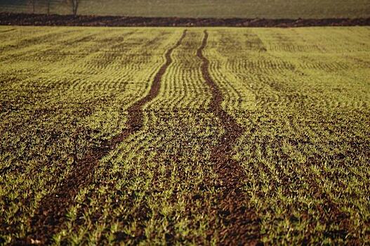 В рамках противопаводковых мероприятий в РФ расчистят мелиоративные каналы протяженностью 1,8 тысяч км