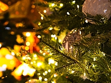 Волгоградские спортсмены рассказали о подготовке к Новому году