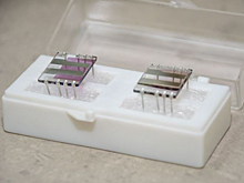 Сибирские учёные создают органические солнечные батарейки