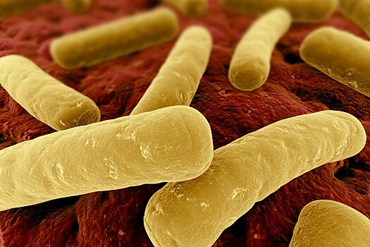Выяснены особенности бактерии, вызывающей самое большое число инфекций