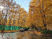 Объяснено, как осенняя тоска влияет на здоровье