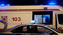В Москве автомобиль сбил перебегавших дорогу пешеходов