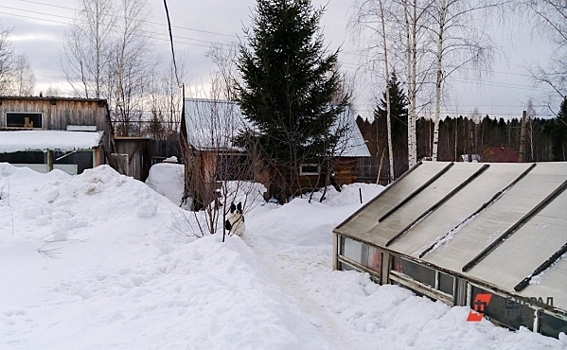 Российских дачников предупредили об опасности зимней оттепели