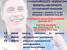Кубок олимпийского чемпиона Никиты Нагорного пройдет в Ростове
