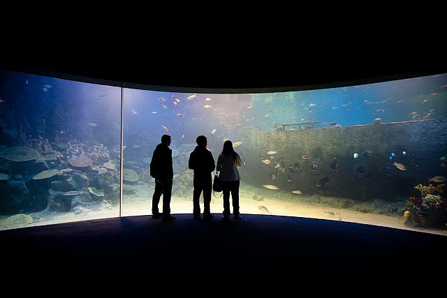 Аквариум TurkuaZoo, Стамбул, Турция, Ближний Восток