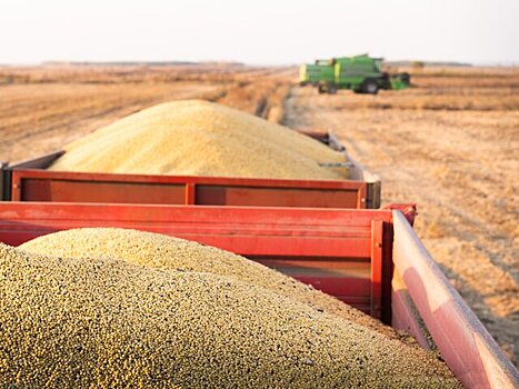 Пакистан впервые купил российское зерно за дирхамы ОАЭ