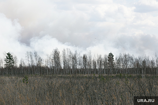 В Курганской области пожарные защищают от огня деревню Озерки