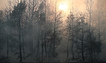 МЧС сообщает о чрезвычайной пожароопасности в Волгоградской области