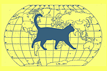 С корабля на ручки: как и почему кошки путешествовали по миру