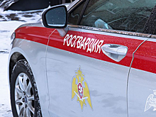 Опубликован список самых популярных бойцов Казахстана