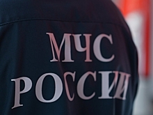 Женщина погибла при пожаре в дачном домике под Волгоградом