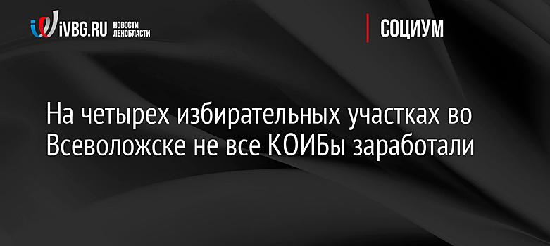 На четырех избирательных участках во Всеволожске не все КОИБы заработали