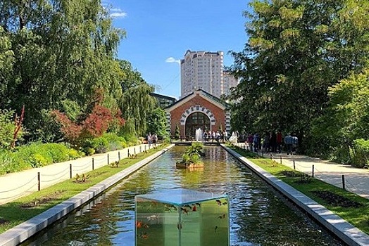 Махорка расцвела в «Аптекарском огороде»